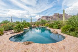 4. Freeform / Natural Organic Shapes
Gone are the days of strict geometry. Freeform pools with curved, lagoon-like edges, rock features, and waterfalls bring a resort-tropical feel — perfect for large Lekki compounds and family estates.
Beautiful freeform tropical designs: