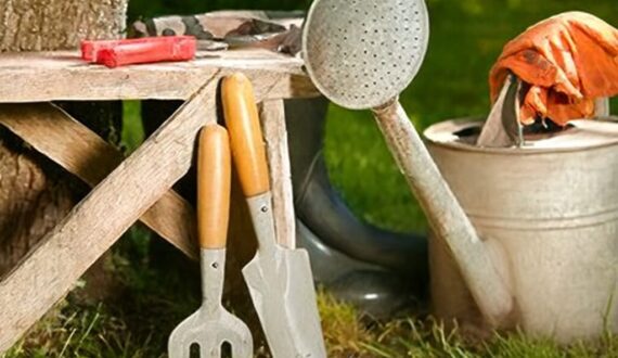 garden tools sale