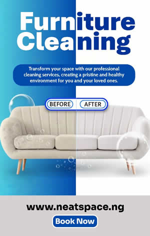 couch cleaning price